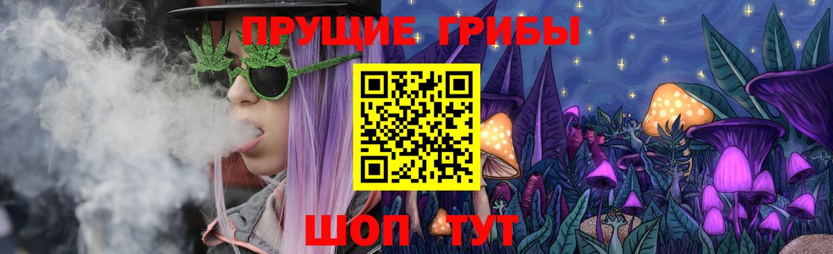 Псилоцибиновые грибы Psilocybe Ржев